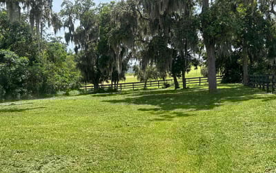 Photo of Anthony W.'s yard after getting lawn care in Lake Orion, MI