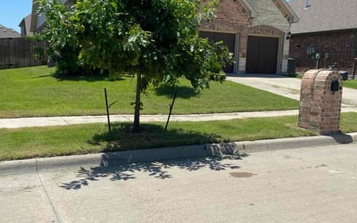 Photo of Jennifer S.'s yard after getting lawn care in Forest Hills, NY