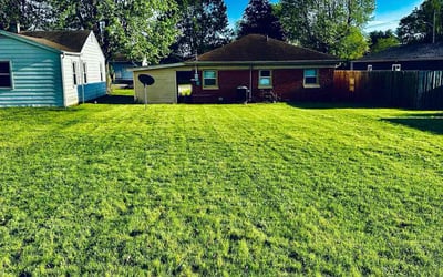 Photo of Serene P.'s yard after getting lawn care in Wildwood, NJ