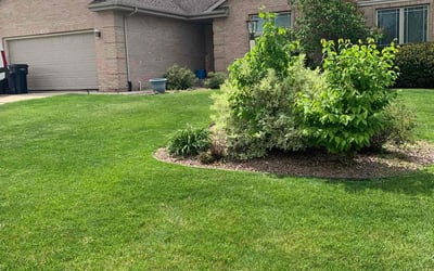 Photo of William S.'s yard after getting lawn care in Painesville, OH