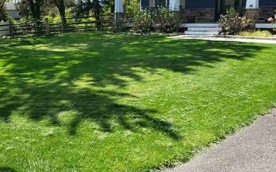 Photo of James T.'s yard after getting lawn care in Doylestown, PA