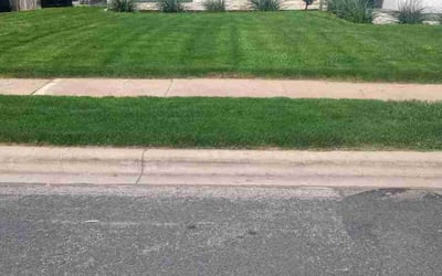 Photo of Russ G.'s yard after getting lawn care in Austin, TX