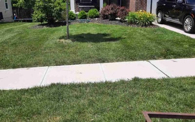 Photo of Christine M.'s yard after getting lawn care in Pickerington, OH