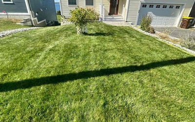 Photo of Denis p.'s yard after getting lawn care in Fall River, MA