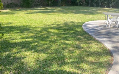 Photo of Dorothea T.'s yard after getting lawn care in Hanahan, SC