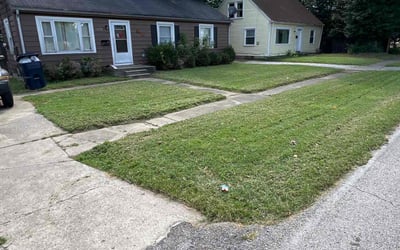 Photo of Deborah O.'s yard after getting lawn care in Greenbrier, TN