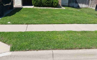 Photo of Allison L.'s yard after getting lawn care in Temple City, CA