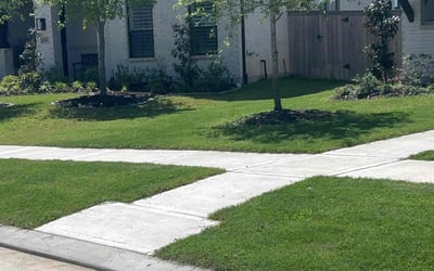 Photo of Ariyha H.'s yard after getting lawn care in Katy, TX