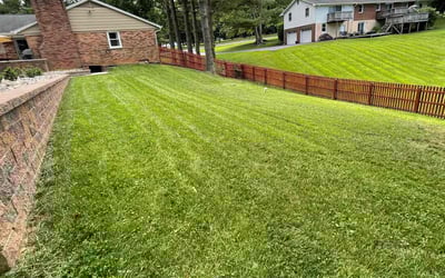 Photo of Crys D.'s yard after getting lawn care in Brunswick, MD