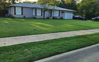 Photo of Logan S.'s yard after getting lawn care in Clearwater, FL