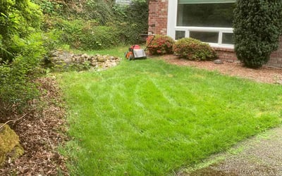 Photo of Christine W.'s yard after getting lawn care in Sammamish, WA