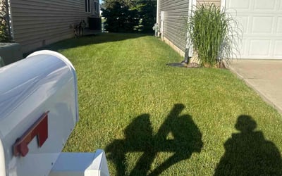 Photo of Erica C.'s yard after getting lawn care in Willoughby, OH