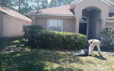 Photo of Paul C.'s yard after getting tree care in Chattanooga, TN