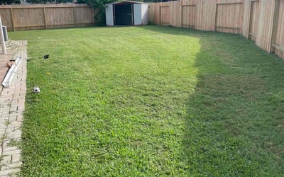 Photo of Brenda H.'s yard after getting lawn care in Aubrey, TX