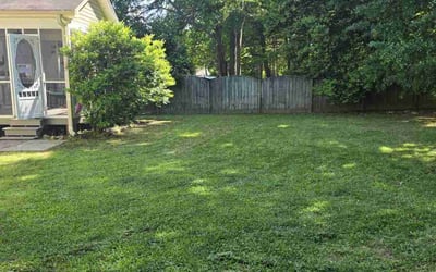 Photo of Peyton K.'s yard after getting lawn care in Pickens, SC