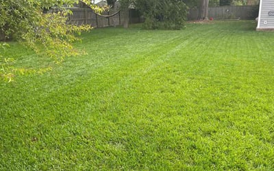 Photo of Karen S.'s yard after getting lawn care in Clifton Park, NY