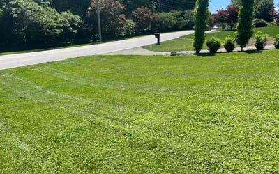 Photo of Jason T.'s yard after getting lawn care in La Grange, KY