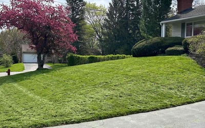 Photo of Angie W.'s yard after getting lawn care in Canastota, NY