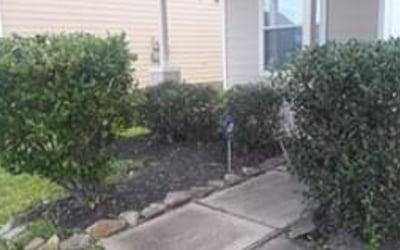 Photo of Crystal M.'s yard after getting lawn care in Summerville, SC