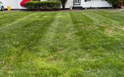 Photo of Camellia W.'s yard after getting lawn care in Marlton, NJ