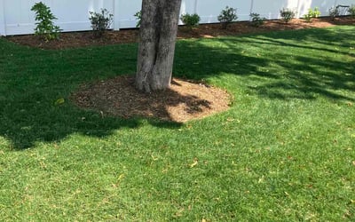 Photo of Briaunna W.'s yard after getting lawn care in Barrington, RI