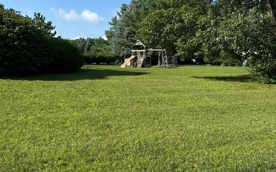 Photo of Blake F.'s yard after getting lawn care in White Lake, MI