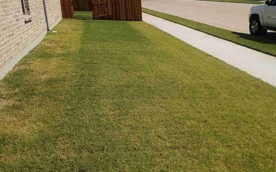 Photo of Christie V.'s yard after getting lawn care in Country Club Hills, IL
