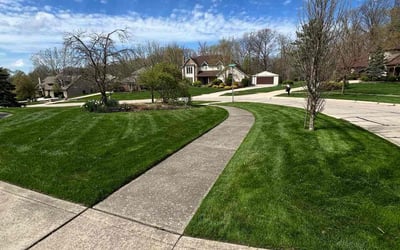 Photo of Erica M.'s yard after getting lawn care in North Royalton, OH