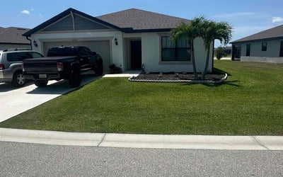 Photo of Billy S.'s yard after getting lawn care in Elmhurst, NY