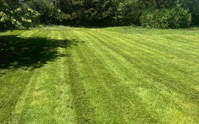 Photo of Gigi B.'s yard after getting lawn care in Spring Lake, MI