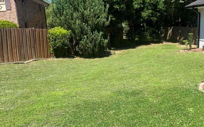 Photo of Hassan T.'s yard after getting lawn care in West Bloomfield, MI