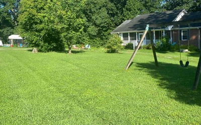 Photo of Katherine M.'s yard after getting lawn care in Amarillo, TX