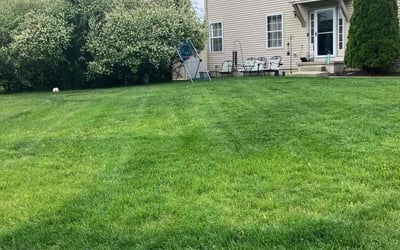Photo of Marcia F.'s yard after getting lawn care in Berlin, NJ