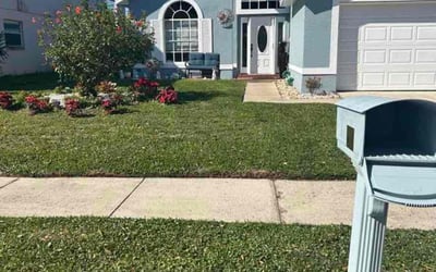 Photo of Cesar U.'s yard after getting lawn care in Sebring, FL