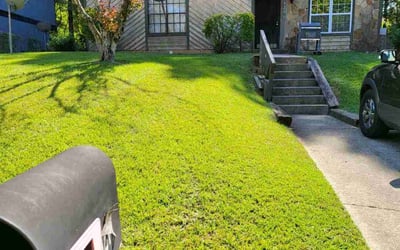 Photo of Ramel F.'s yard after getting lawn care in Lithonia, GA
