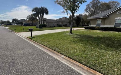 Photo of Angela W.'s yard after getting lawn care in St. Petersburg, FL