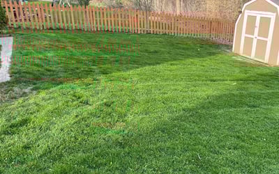 Photo of Brian S.'s yard after getting lawn care in North Canton, OH