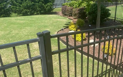 Photo of Tykiera H.'s yard after getting lawn care in Benson, NC