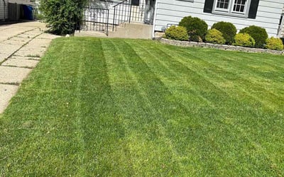 Photo of Stella I.'s yard after getting lawn care in Eau Claire, WI
