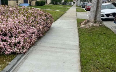 Photo of Teresa M.'s yard after getting lawn care in Montebello, CA