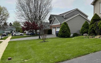 Photo of dottie c.'s yard after getting lawn care in Derwood, MD