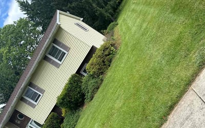 Photo of Tereka G.'s yard after getting lawn care in Whitehall, PA