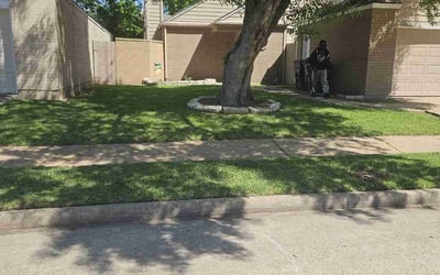 Photo of Zeth B.'s yard after getting lawn care in Clifton, NJ