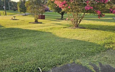 Photo of Kenneth O.'s yard after getting lawn care in Mocksville, NC