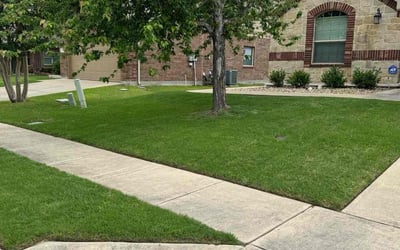 Photo of Christine P.'s yard after getting lawn care in Arroyo Grande, CA