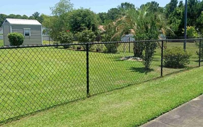 Photo of Greg D.'s yard after getting lawn care in Conway, SC