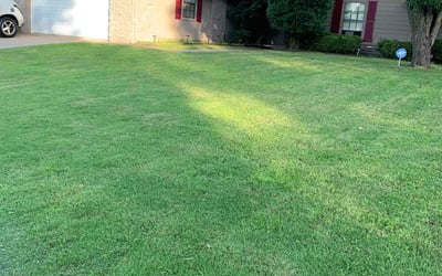 Photo of Marie D.'s yard after getting lawn care in Skiatook, OK