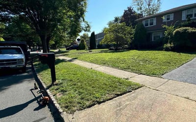 Photo of Michele V.'s yard after getting lawn care in East Brunswick, NJ