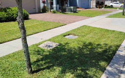 Photo of Rich M.'s yard after getting lawn care in Yorba Linda, CA
