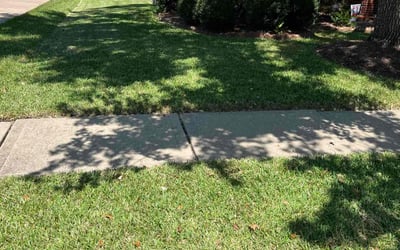 Photo of Vanita A.'s yard after getting lawn care in Woodstock, GA